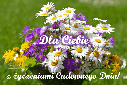 Dla Ciebie bukiet kwiatów życzenia  cudownego dnia